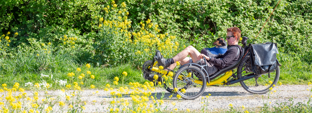 Vélo 2024 couché course